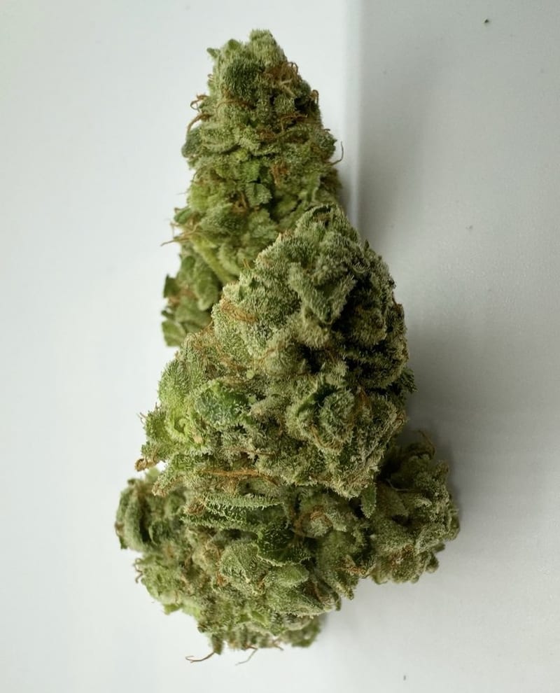 Close-up of cannabis flower at Dryden Dispensary